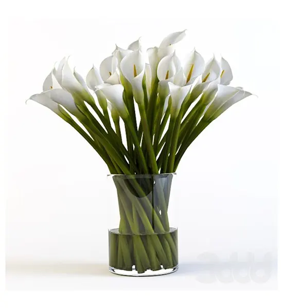 20 Kala Lily's White With Glass Vase