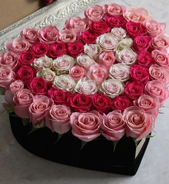 Red White Pink Heart Shape Argument