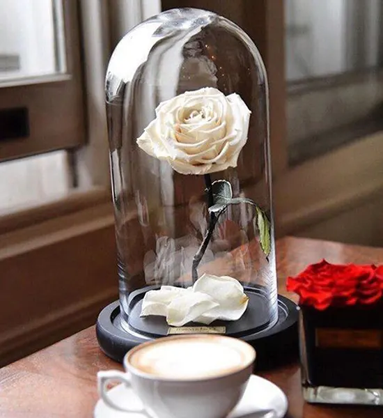 White Infinity Flower