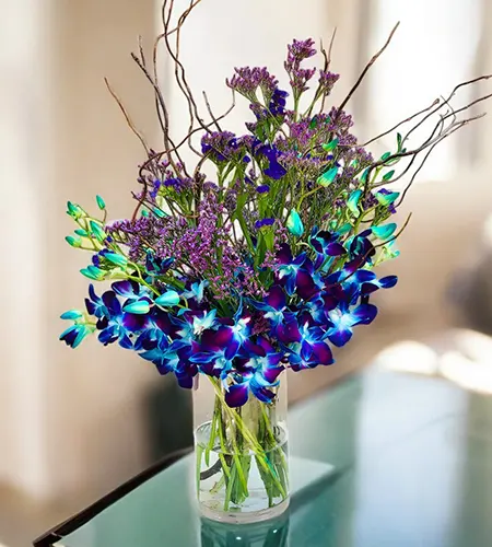 Blue Orchid Storm – Stunning 10 Stems in Glass Vase