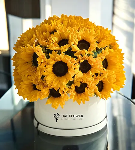 50 Shades of Sunshine – Elegant Flower Box for All Occasions