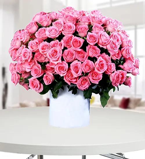 Signature 100 Red And White Ombre Roses