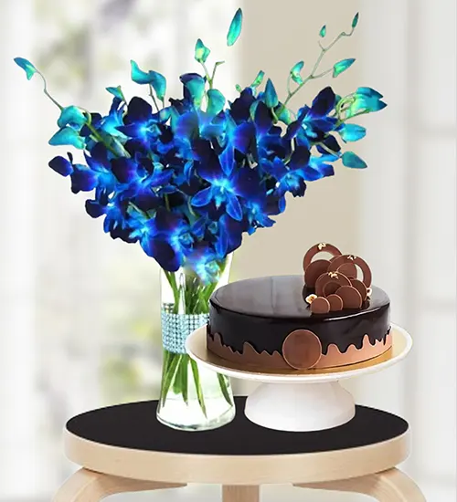 Dramatic Birthday Combo