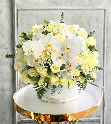 Elegant White Roses and Hydrangea Box - 30 Roses, 3 Hydrangeas & Orchids