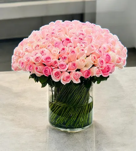 100 Pink Roses in Glass Vase
