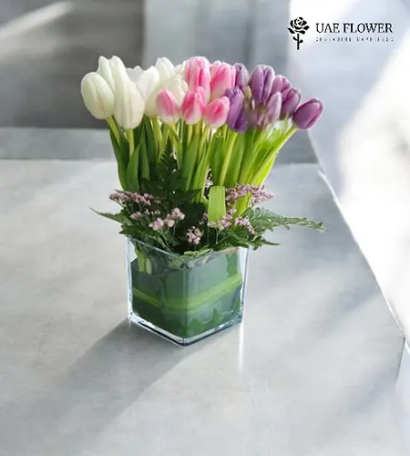 Mix Tulips in Vase - 25 Stunning Blooms
