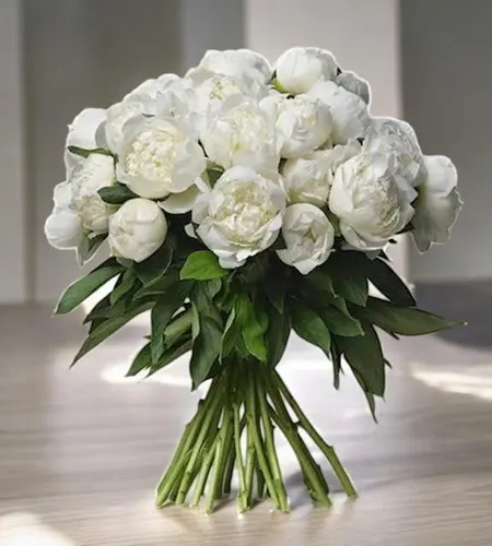 30 White Peonies Bunch with Ruscus and Ribbon Bow