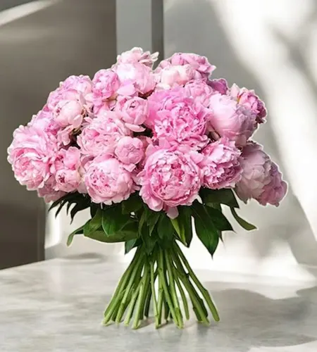 30 Pink Peonies Bunch - Elegance in Every Bloom