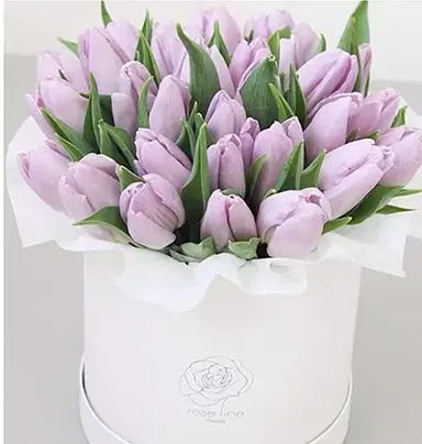 20pc Purple Tulip With...
