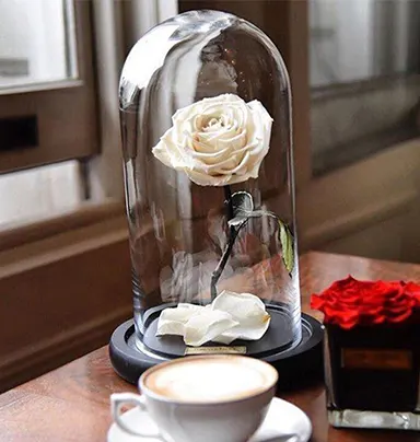White Infinity Flower