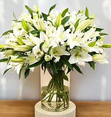 3 Pcs White Lilly And ...