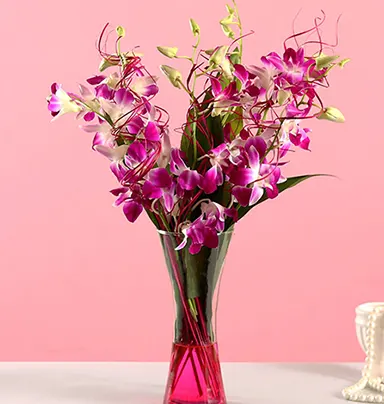 Vibrant Purple Orchi...