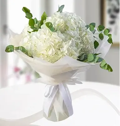 Elegant White Hydrange...