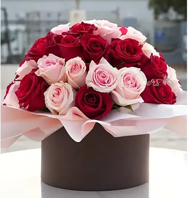 20 Red & 20 Pink Roses...