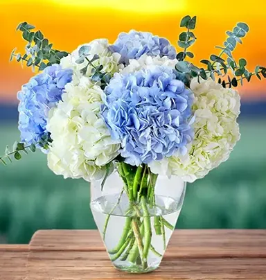 Arrangement of 8 White...