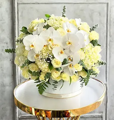 Elegant White Roses an...