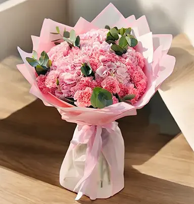 Pink Hydrangea & Carna...