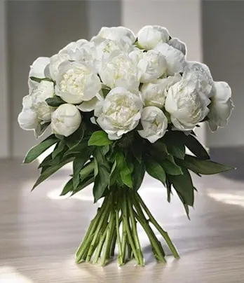 30 White Peonies Bunch...