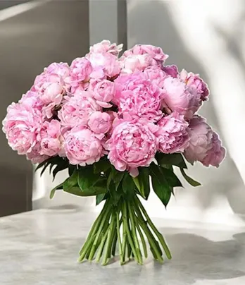 30 Pink Peonies Bunch ...