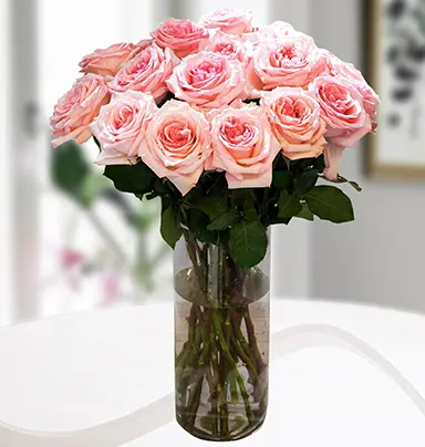25 Pink Roses Glass Va...