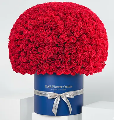 700 Red Roses Valentin...